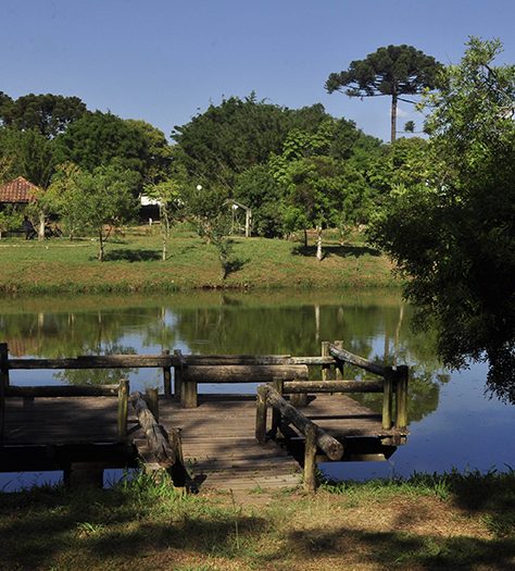 4- Parque Municipal da Uva