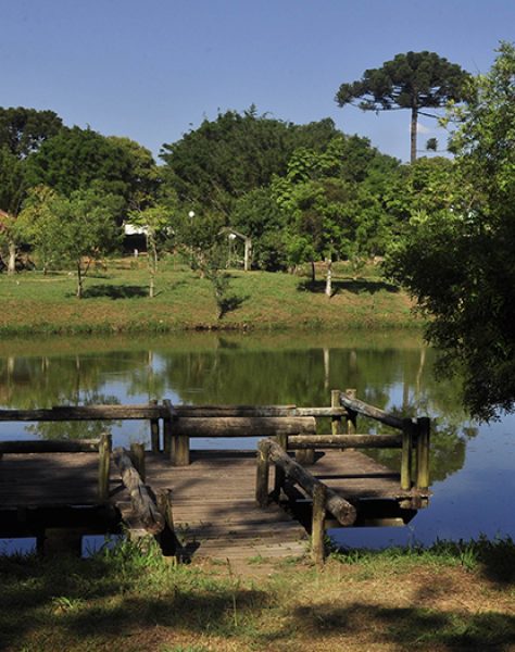 4- Parque Municipal da Uva